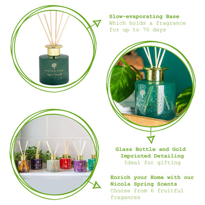 200ml Wild Sage &amp; Seasalt Glass Reed Diffuser